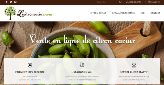 Site e-commerce lecitroncaviar.com